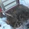 Электронагреватель высокотемпературный для прогрева мерзлого грунта за 2-4 часа